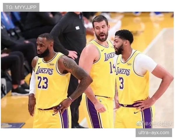 戴维斯传球区域分析揭示湖人进攻新策略 戴维斯传球区域分析揭示湖人进攻新策略